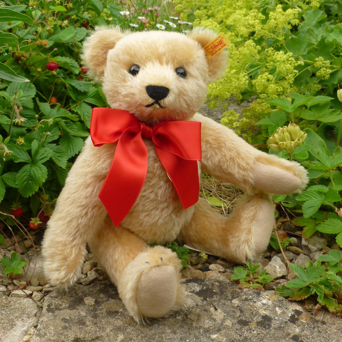 【美品】シュタイフ テディベア classic teddy bear 1909 0085434_classic-1909-teddy-