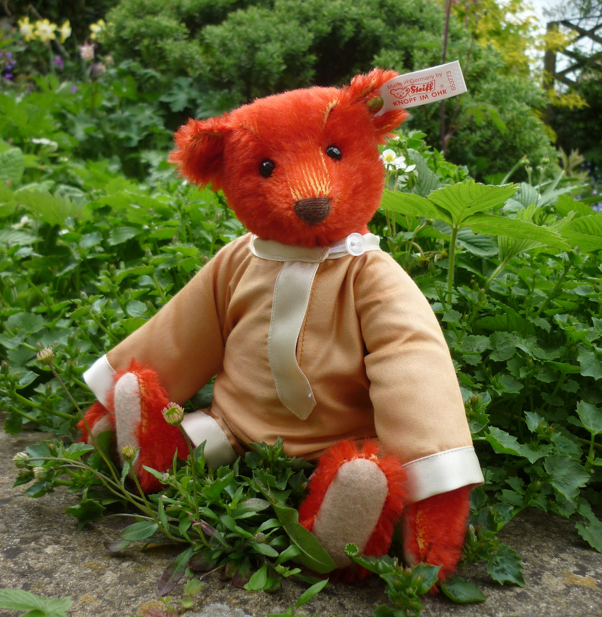 コレクション Steiff BABY ALFONZO Teddy Bear of Witney Steiff Witney Exclusive Baby Alfonzo – Teddy Bears