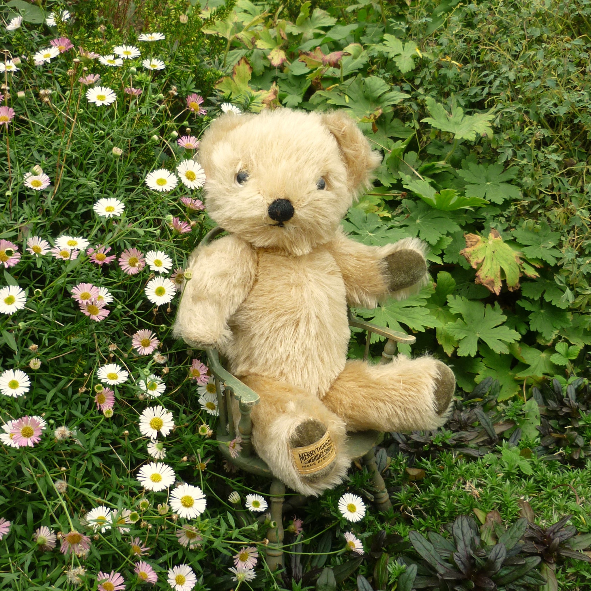 Featured Collection – Teddy Bears