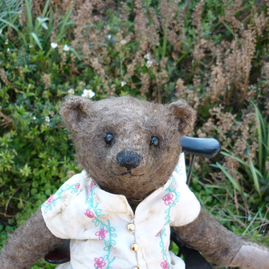 Teddy Bears of Witney