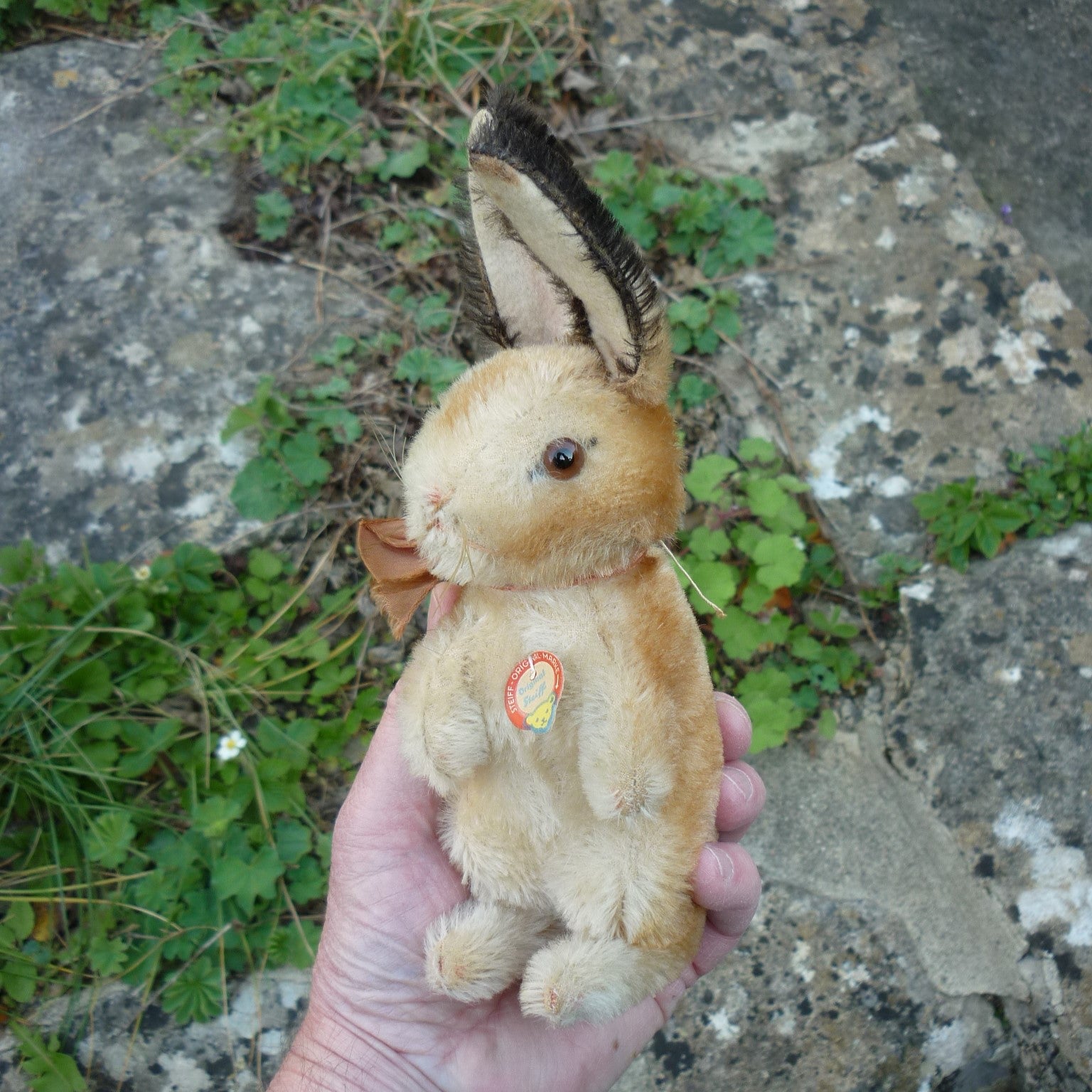 Early Steiff Rabbit Steiff Standing Rabbit, circa 1950s – Teddy Bears