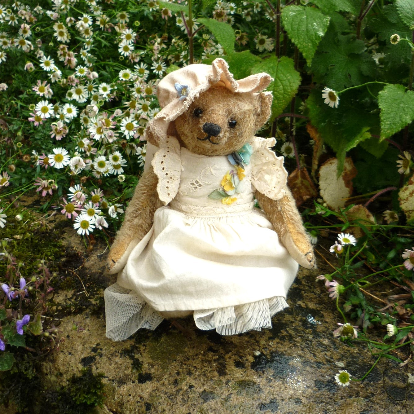 Featured Collection – Teddy Bears