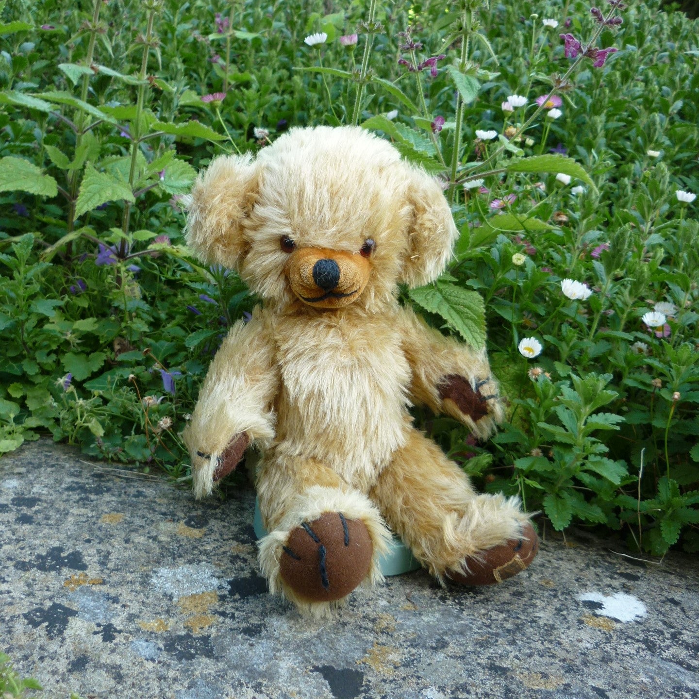 Featured Collection – Teddy Bears