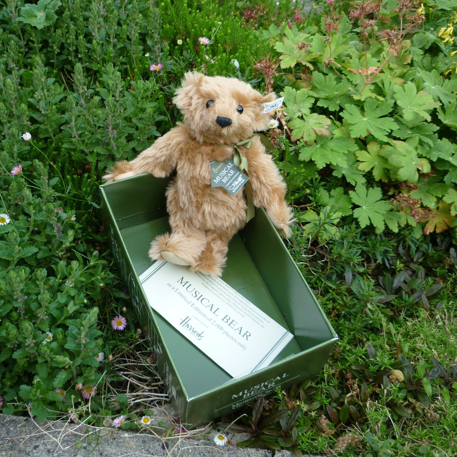 Pre-loved Bears – Teddy Bears