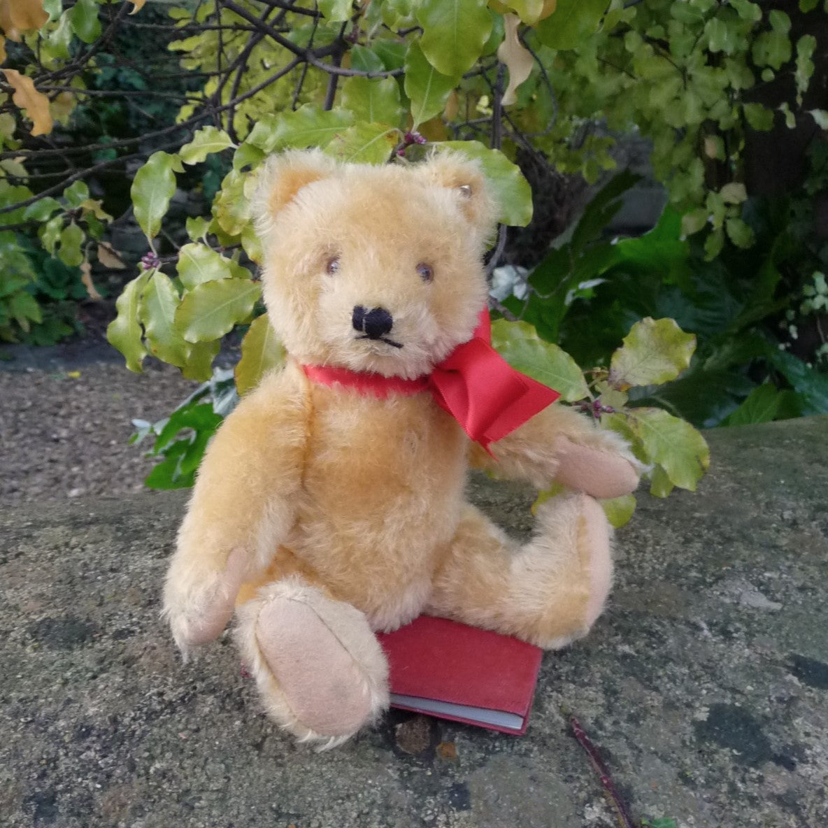 Steiff Yellow Original Teddy, Circa 1960s – Teddy Bears