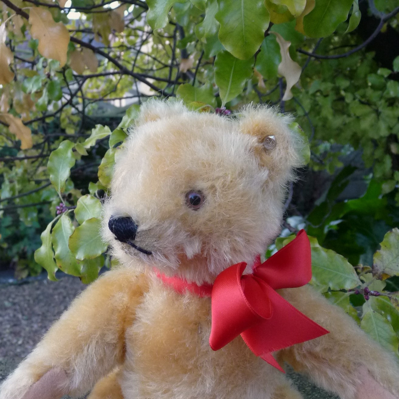 Steiff Yellow Original Teddy, Circa 1960s – Teddy Bears