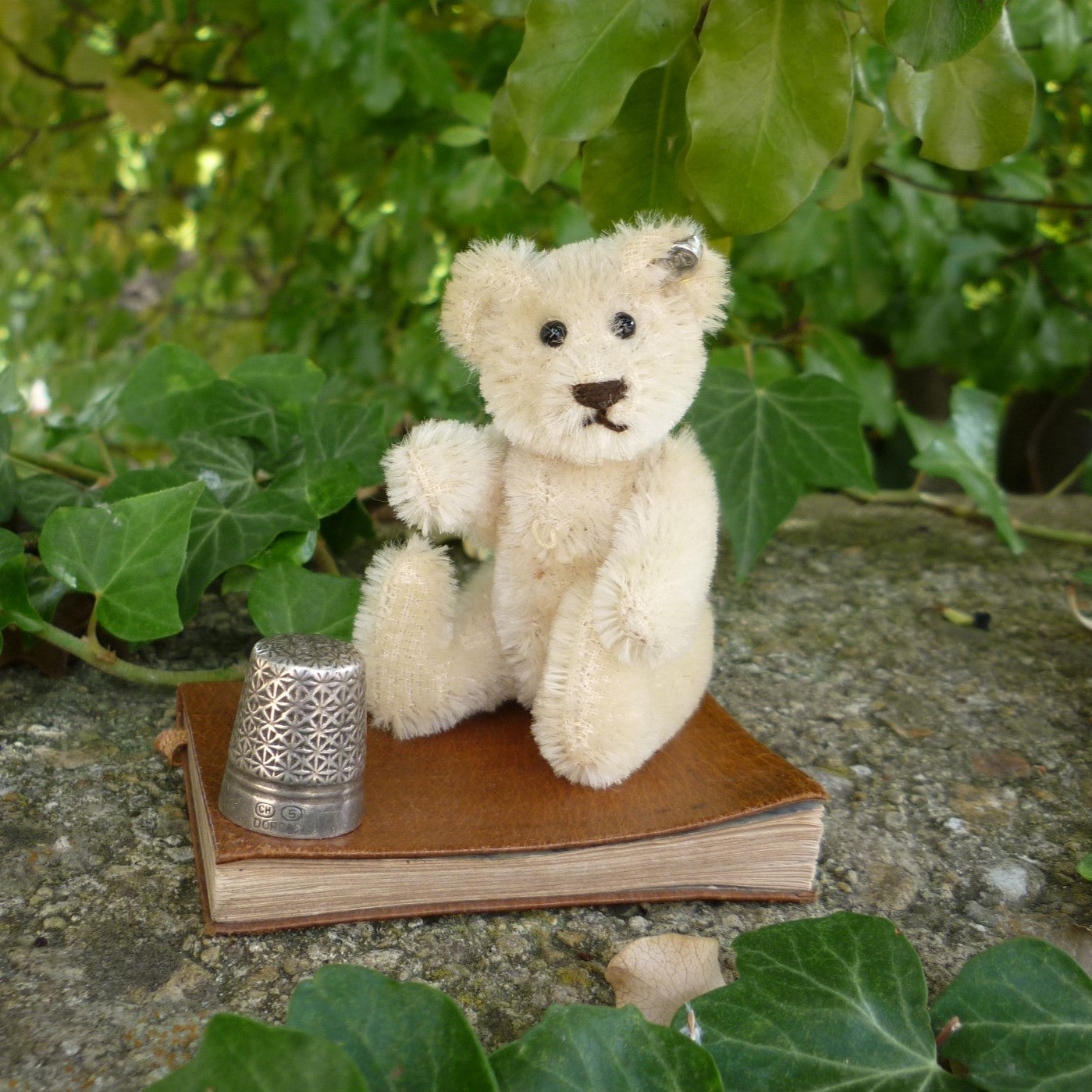 Teddy Bears of Witney