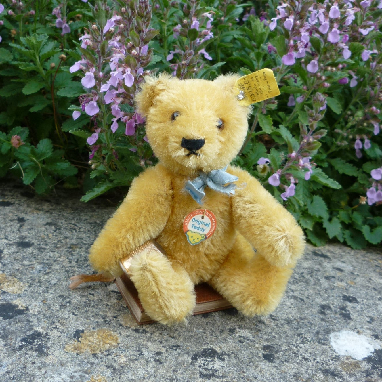 Teddy Bears of Witney