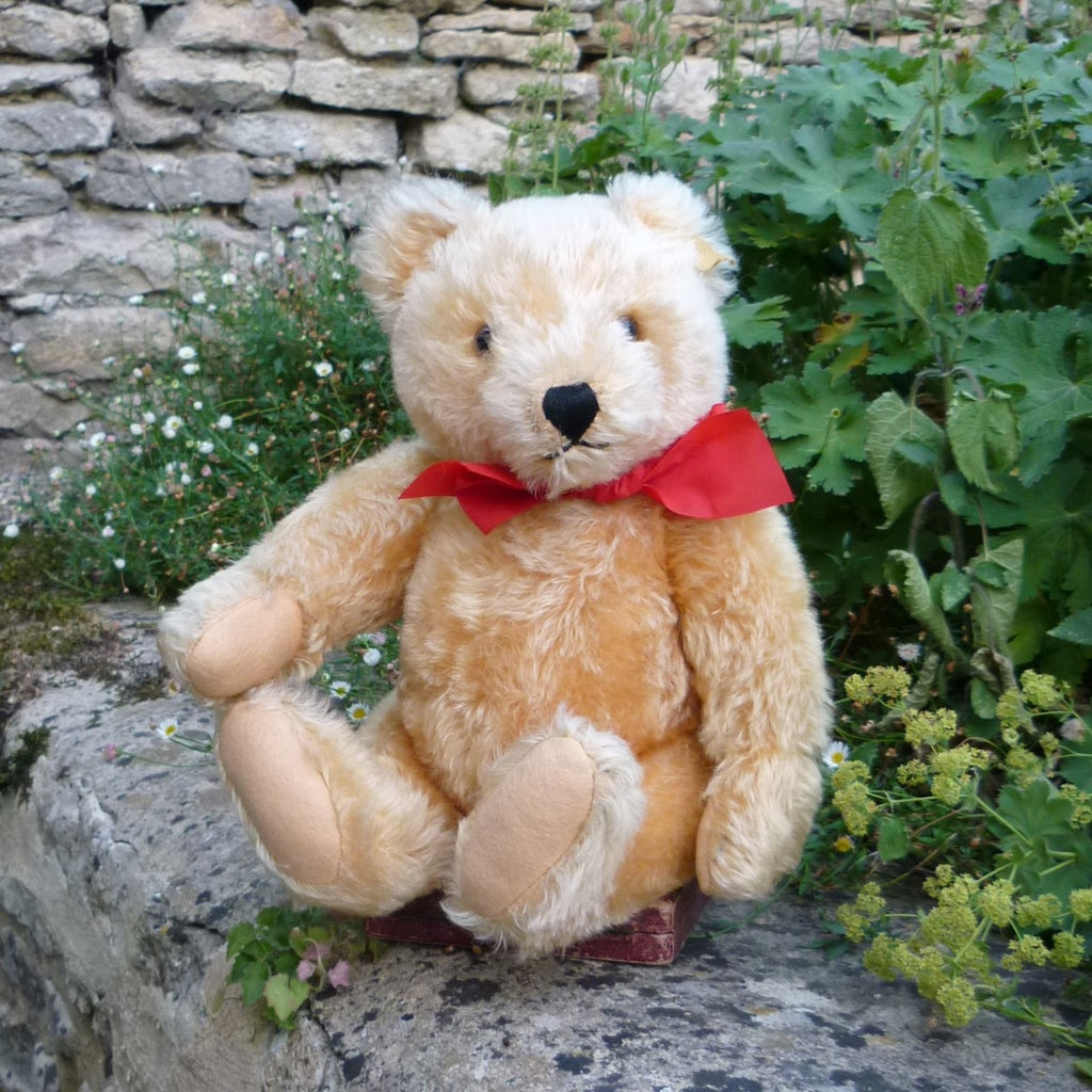 Featured Collection – Teddy Bears