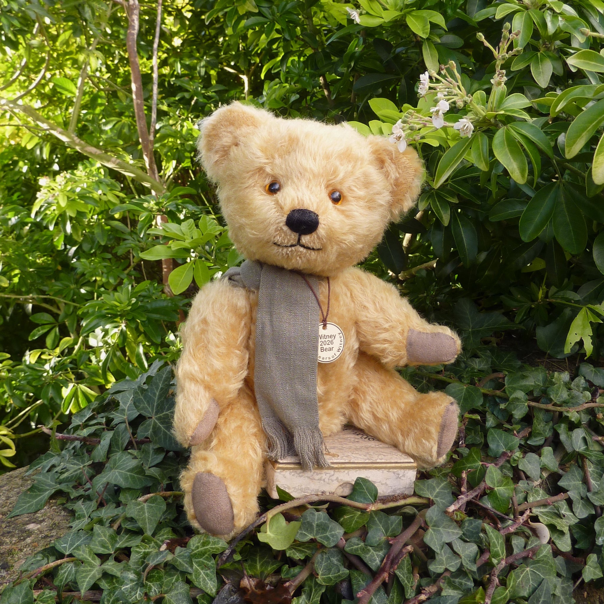 Teddy Bears of Witney