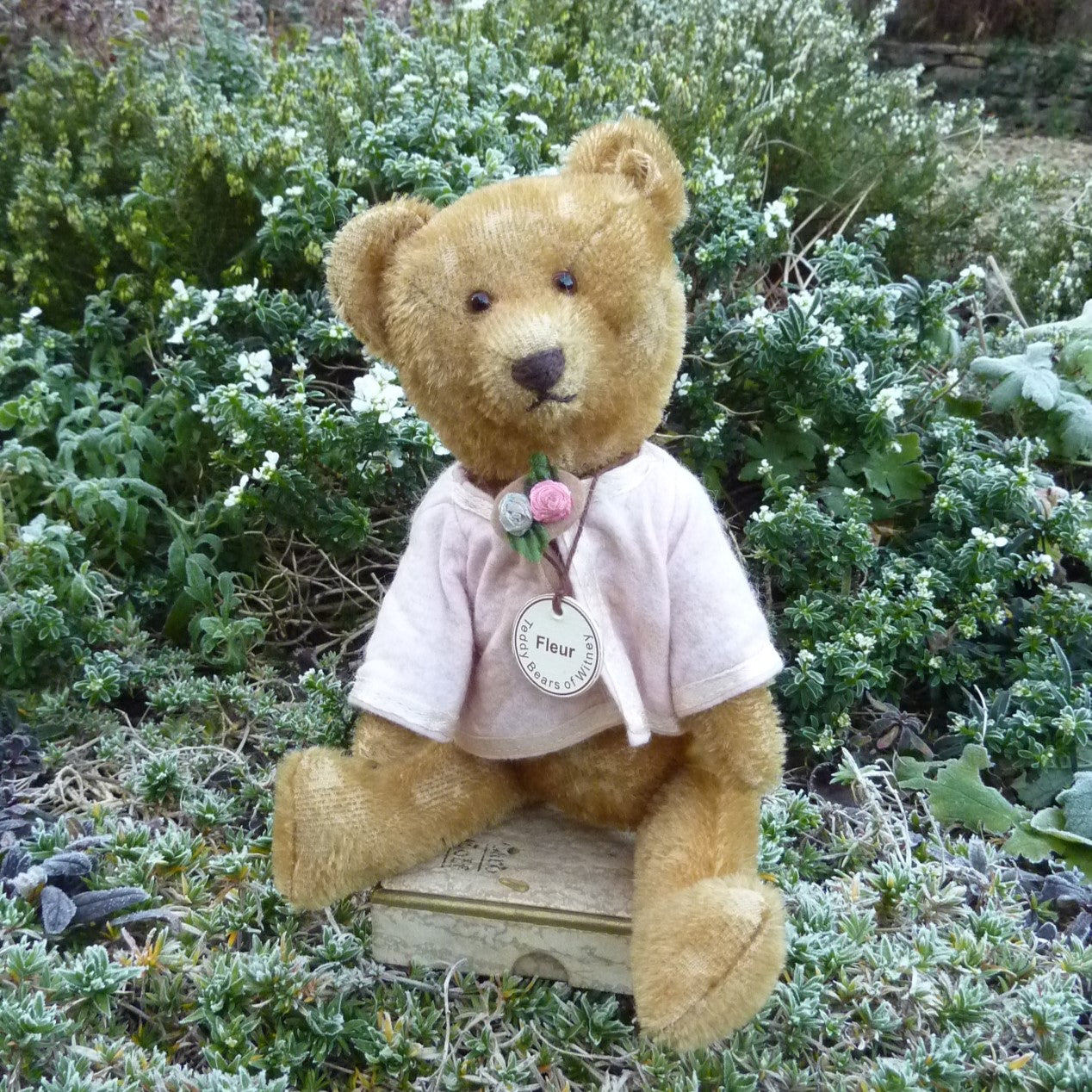 Old Witney Favourites – Teddy Bears