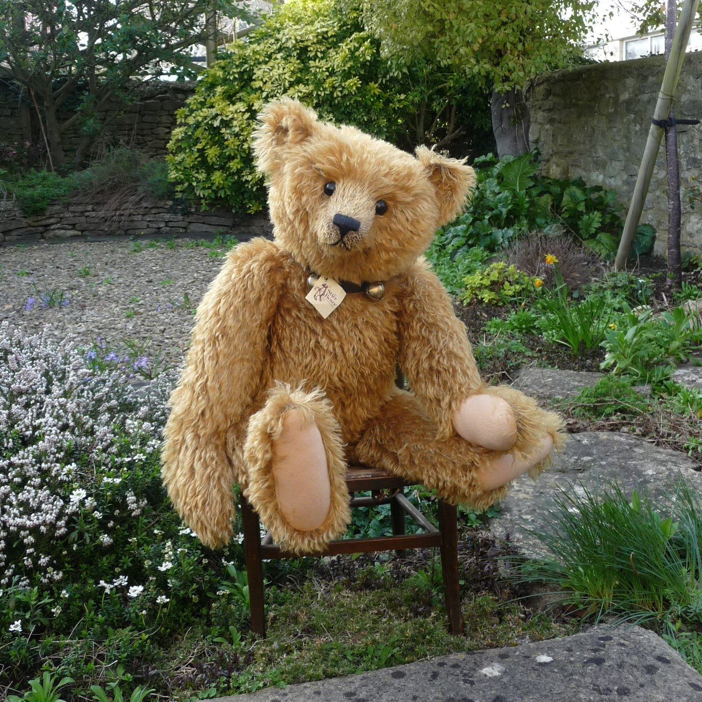Teddy Bears of Witney
