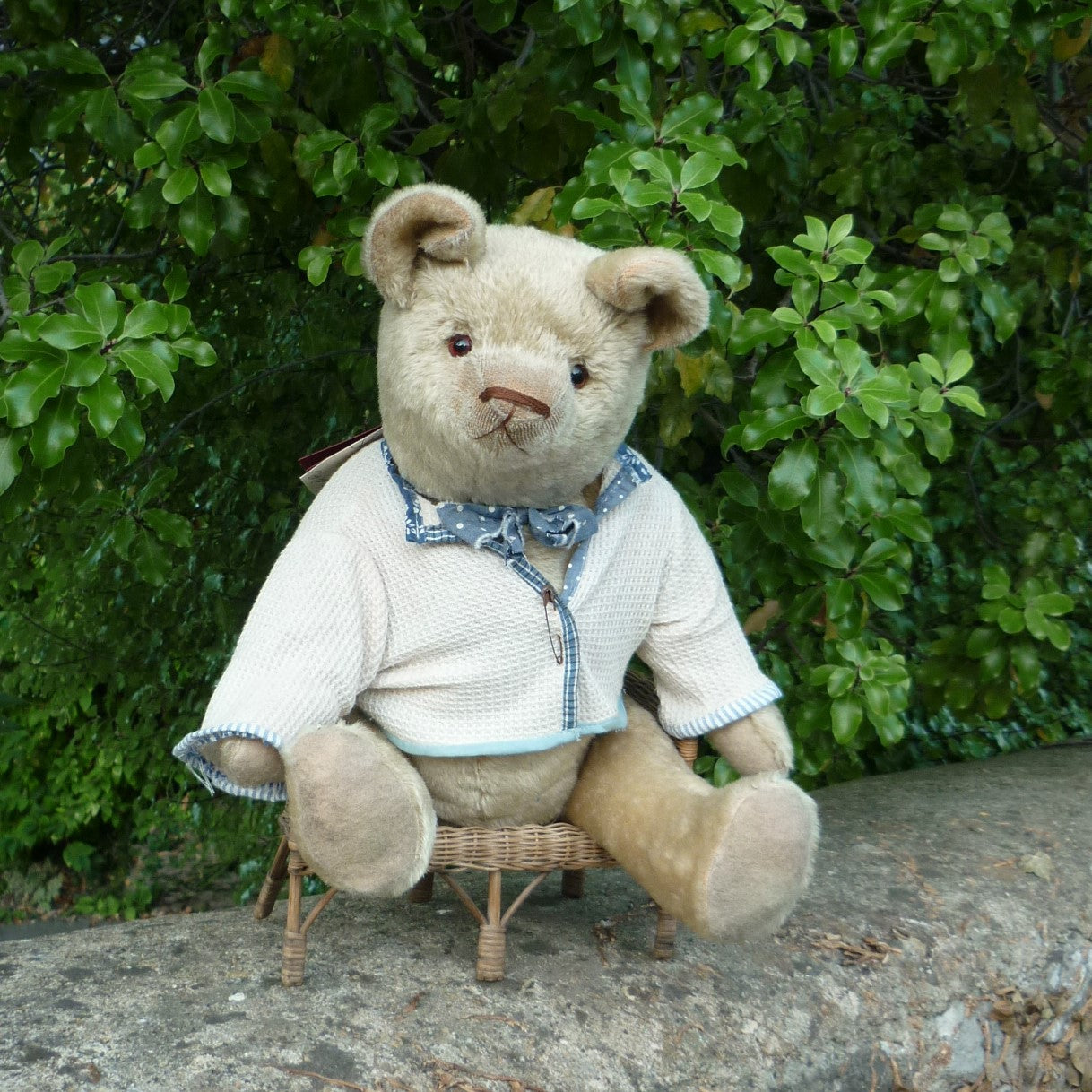 Featured Collection – Teddy Bears