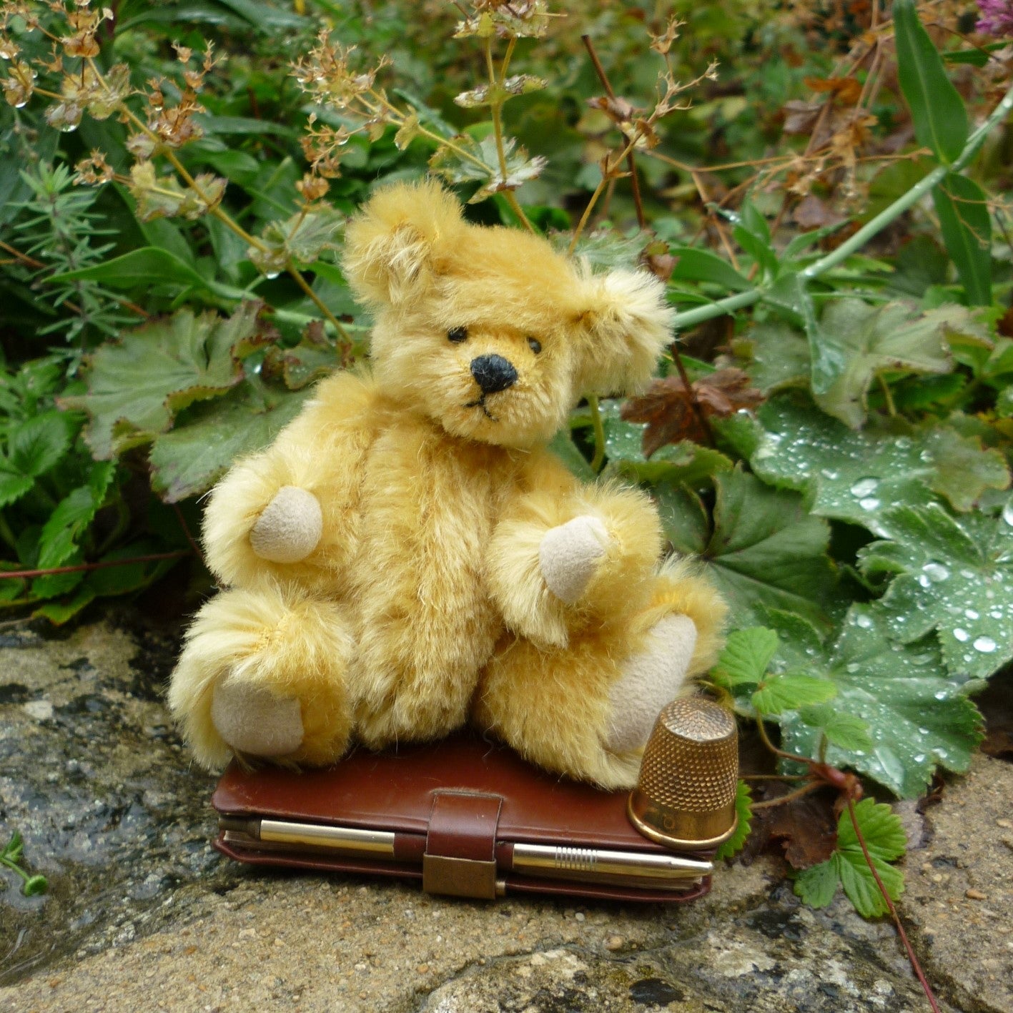 Featured Collection – Teddy Bears
