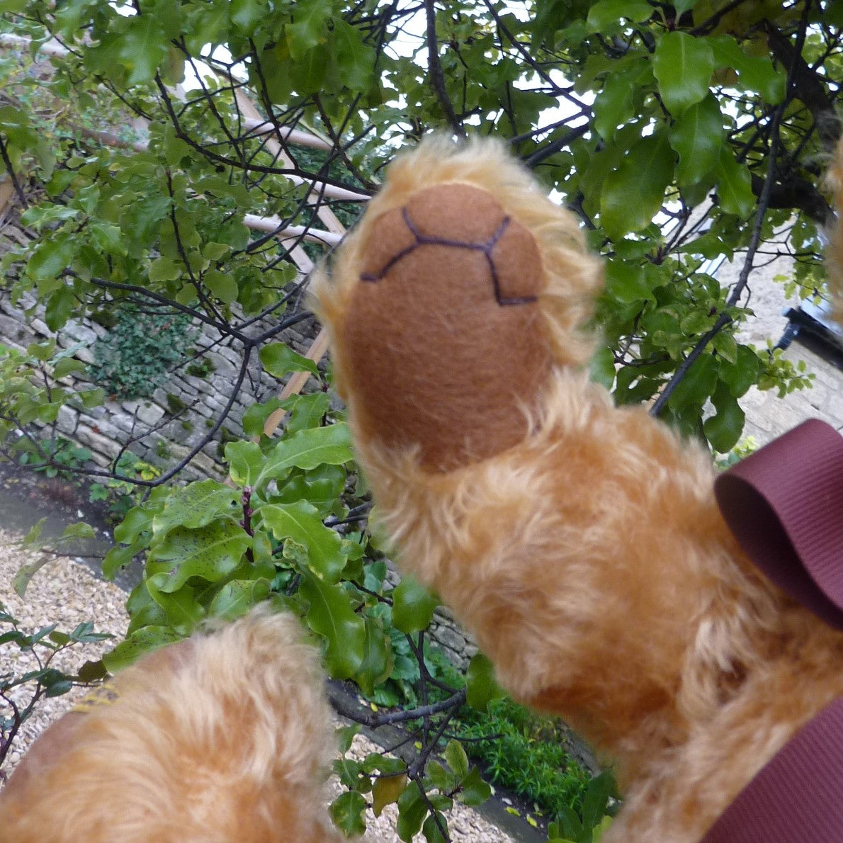 The Merrythought Bear 1931 Replica by Merrythought – Teddy Bears
