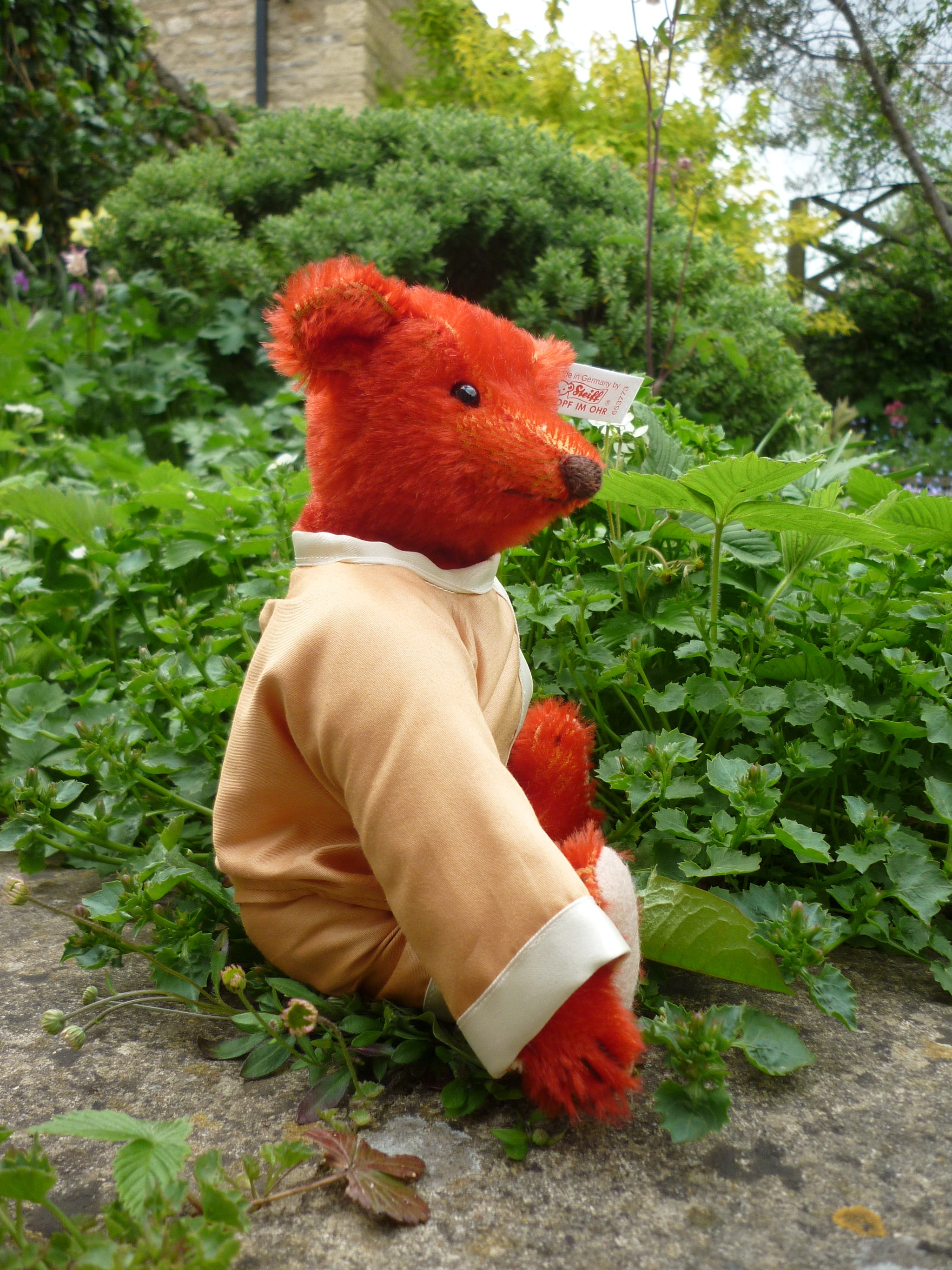 Steiff Witney Exclusive Baby Alfonzo – Teddy Bears