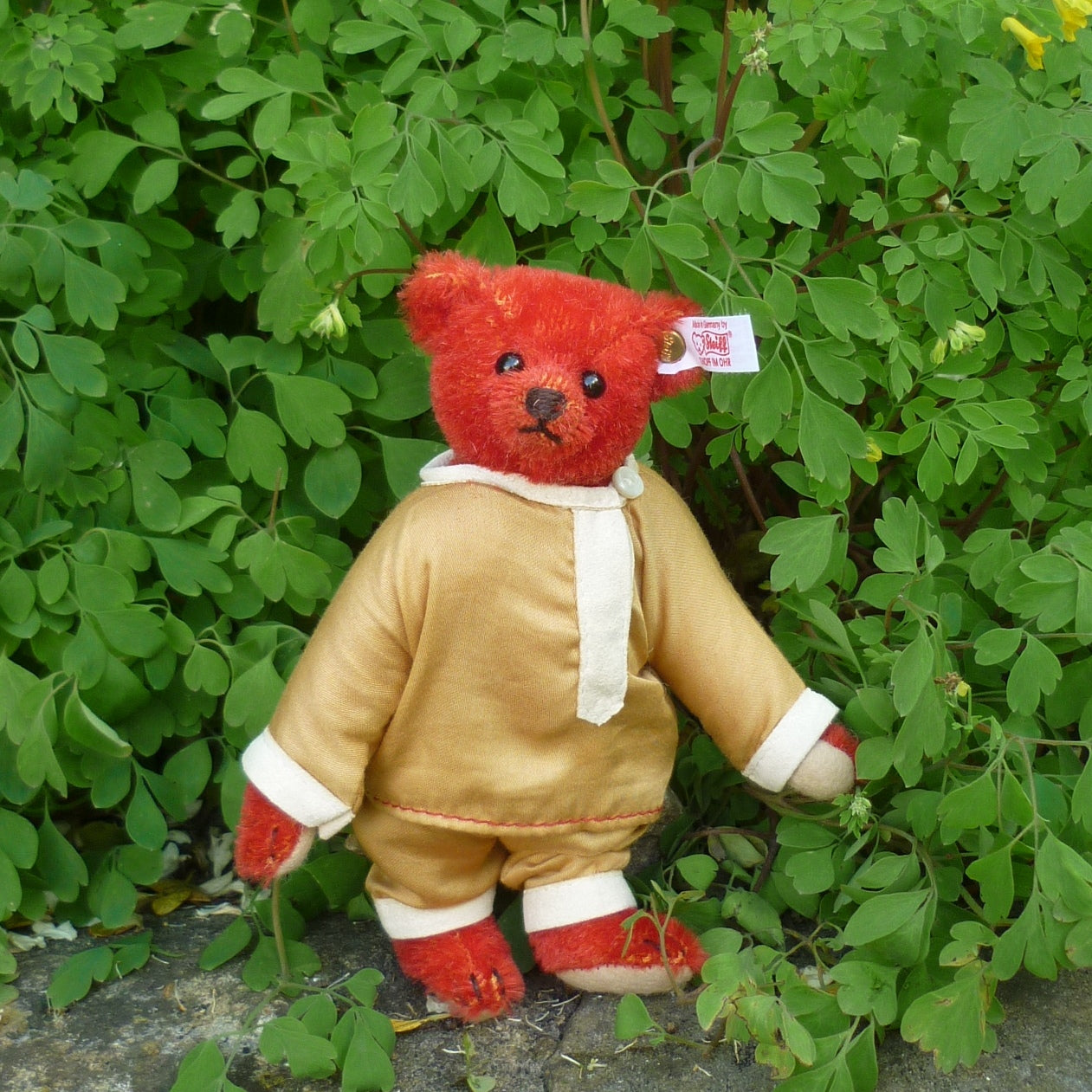 コレクション Steiff BABY ALFONZO Teddy Bear of Witney Steiff Witney Exclusive Pocket Alfonzo – Teddy Bears